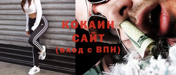 твердый Арсеньев
