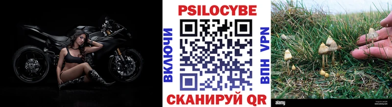 Купить закладки  Апрелевка  Псилоцибиновые грибы ЛСД 