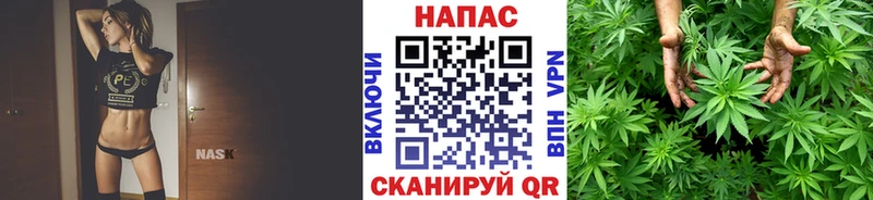 Каннабис сатива  Купить  Апрелевка 